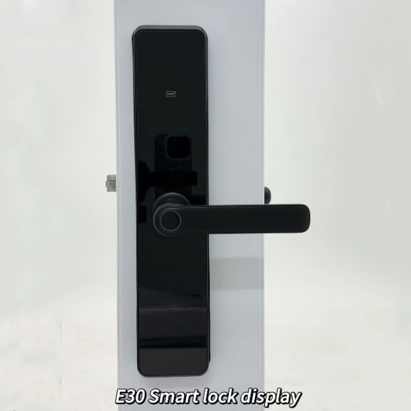 Aven Smart Villa & Airbnb Lock WV-6917, Black Glass Finish, Semiconductor Fingerprint + Mifare Card + Password + Key + TTLock App Control, 4x AA Battery Power, Cylinder Security Level C, Door Thickness 35–70mm